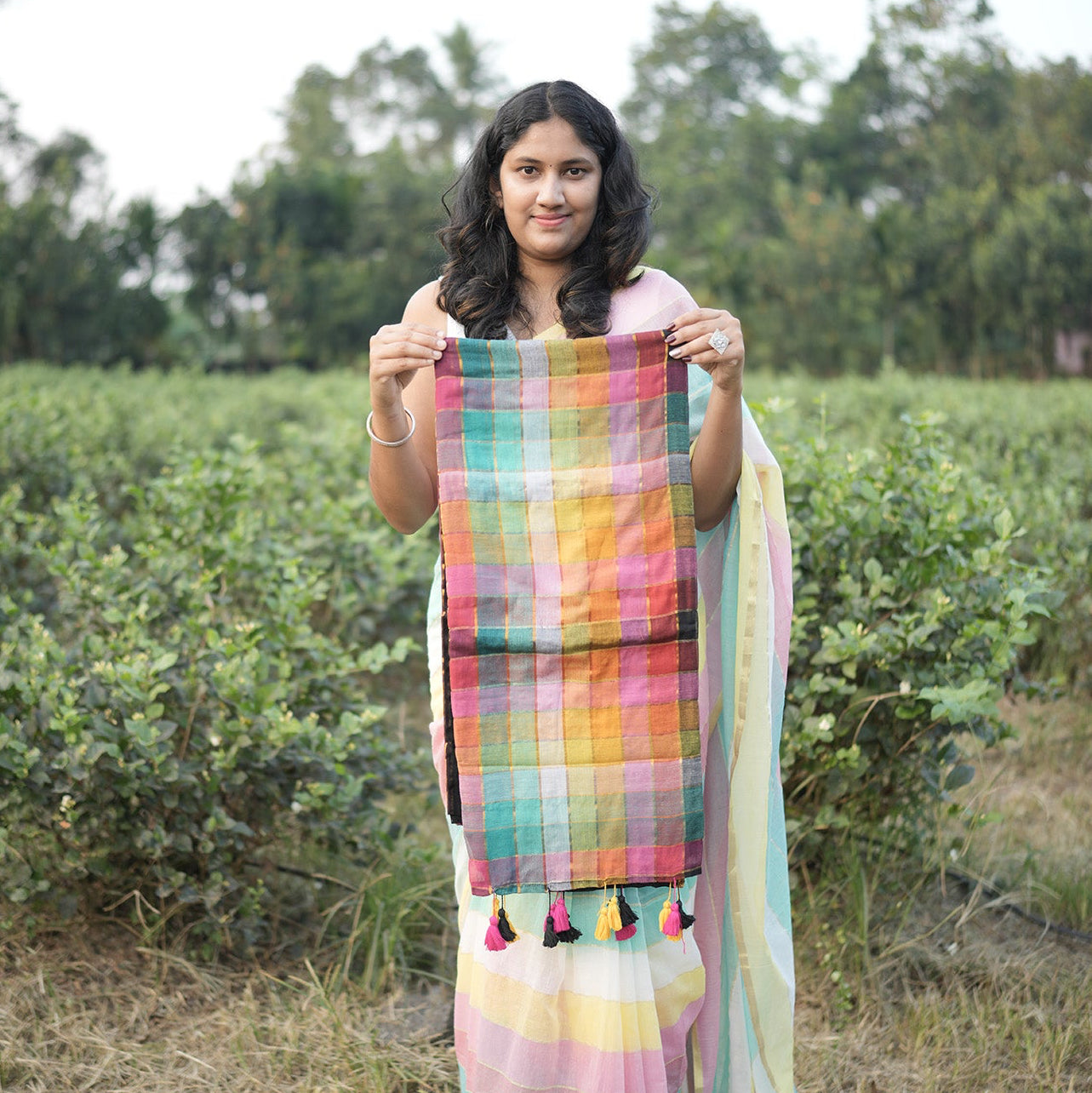 Mul Mul  Cotton Saree with Rainbow Accents