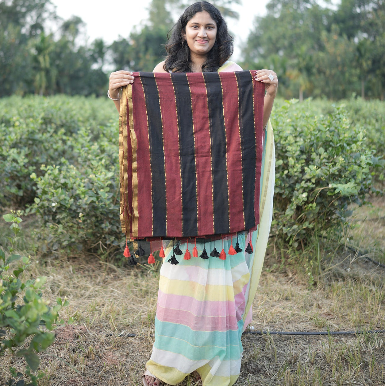 Mul Mul Cotton Saree in Black and Maroon